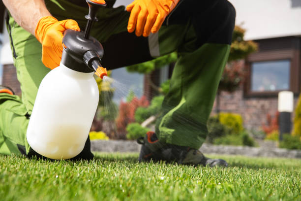 Best Wildlife Control Services  in Paris, TX