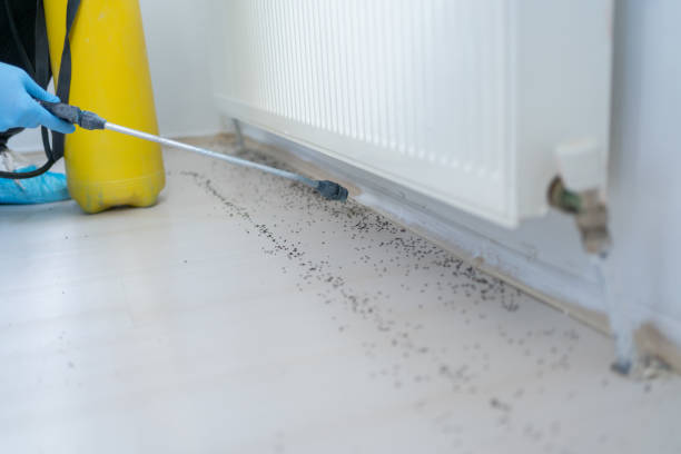 Pest Control Cost in Paris, TX