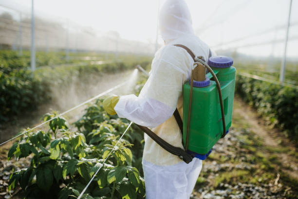 Best Mosquito Control Services  in Paris, TX